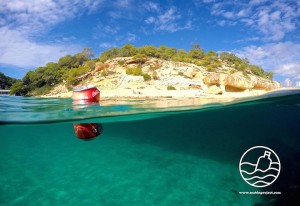 Seabin, un bidone galleggiante per ripulire il mare