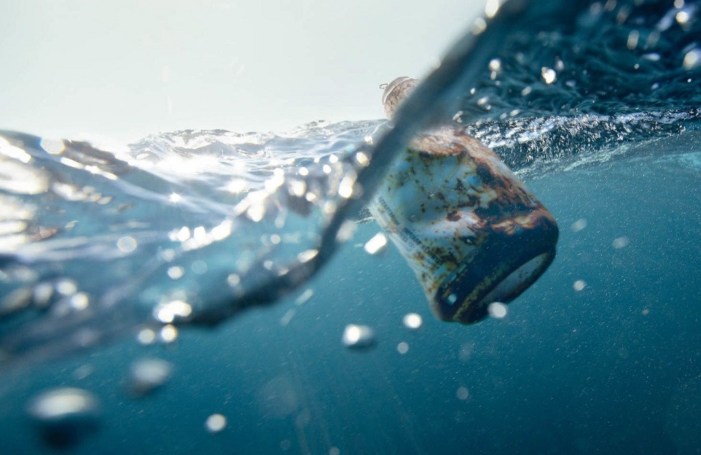 Il batterio che mangia la plastica