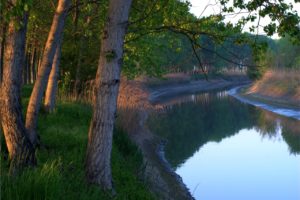 fiume Secchia argini