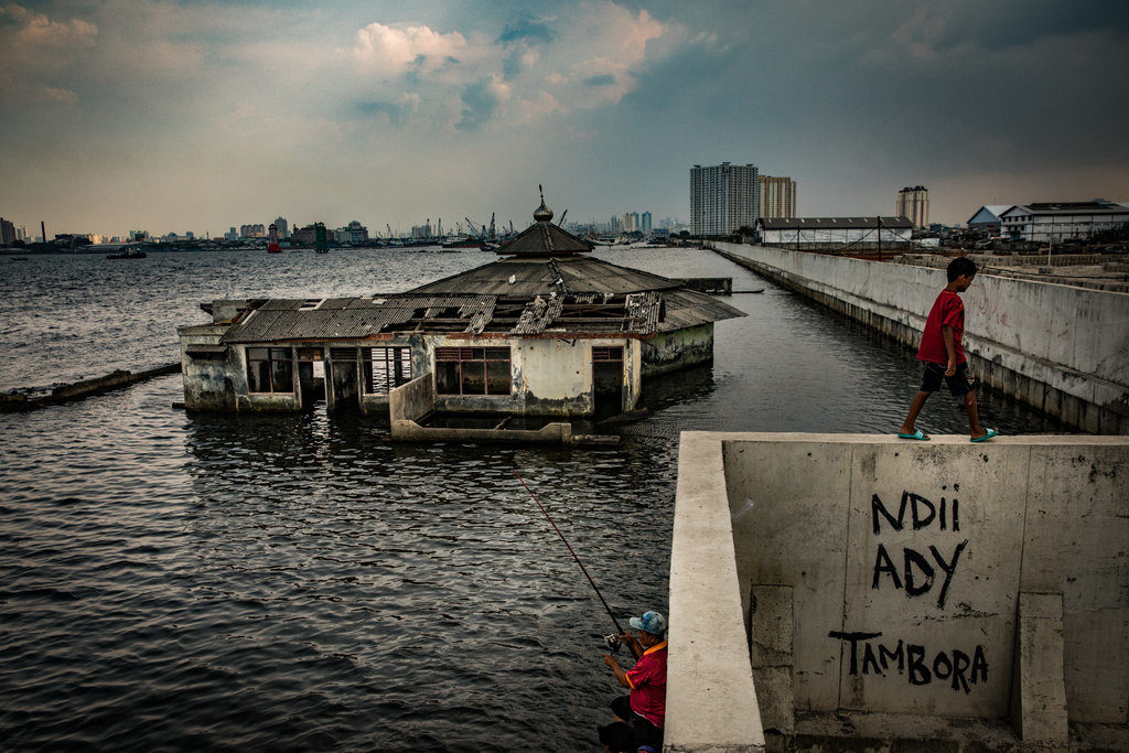 Jakarta sprofonda, l'Indonesia trasferirà la capitale sull'isola del Borneo