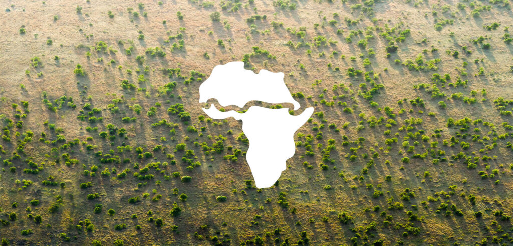 Una muraglia verde per l’Africa, The Great Green Wall