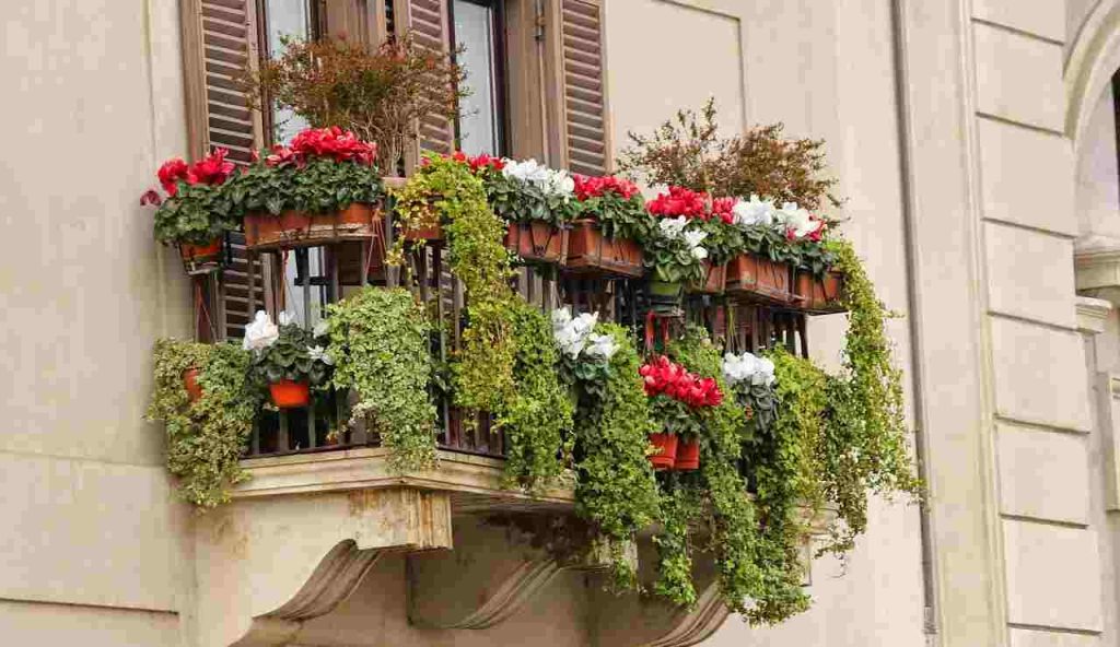 Balcone fiorito (Pixabay foto)