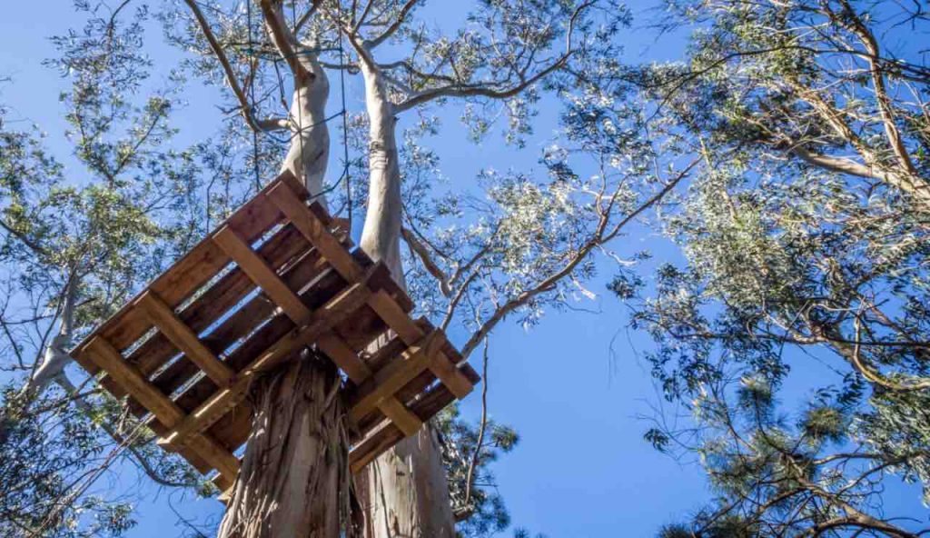 Piattaforma su albero